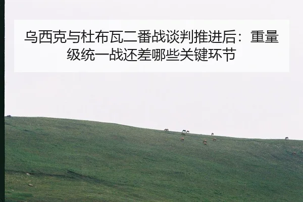 wu-xi-ke-yu-du-bu-wa-er-fan-zhan-tan-pan-tui-jin-hou-zhong-liang-ji-tong-yi-zhan-hai-cha-na-xie-guan-jian-huan-jie-2-961.jpg
