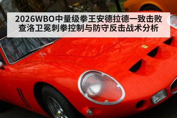 2026WBO中量级拳王安德拉德一致击败查洛卫冕刺拳控制与防守反击战术分析
